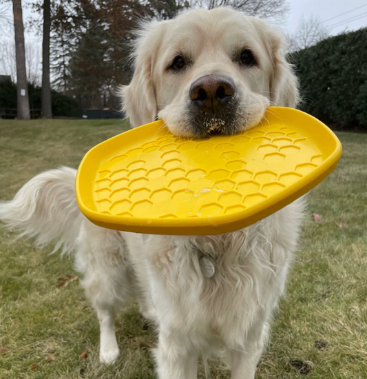 Project Hive Floating Disc & Lick Mat (Yellow)