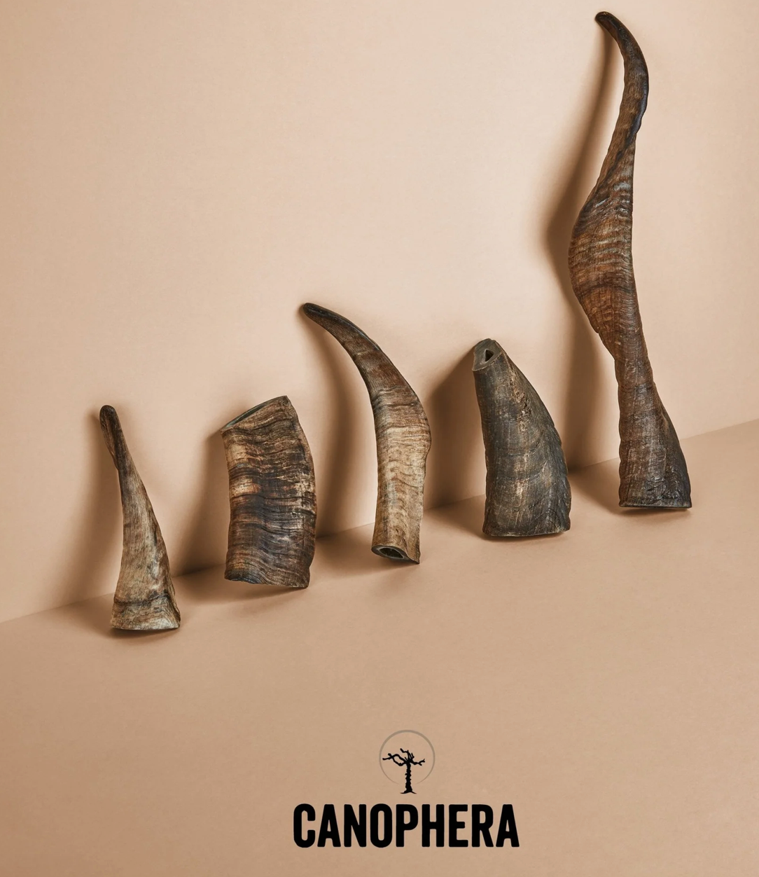 Canophera Dog Chew Sheep Horn- Medium