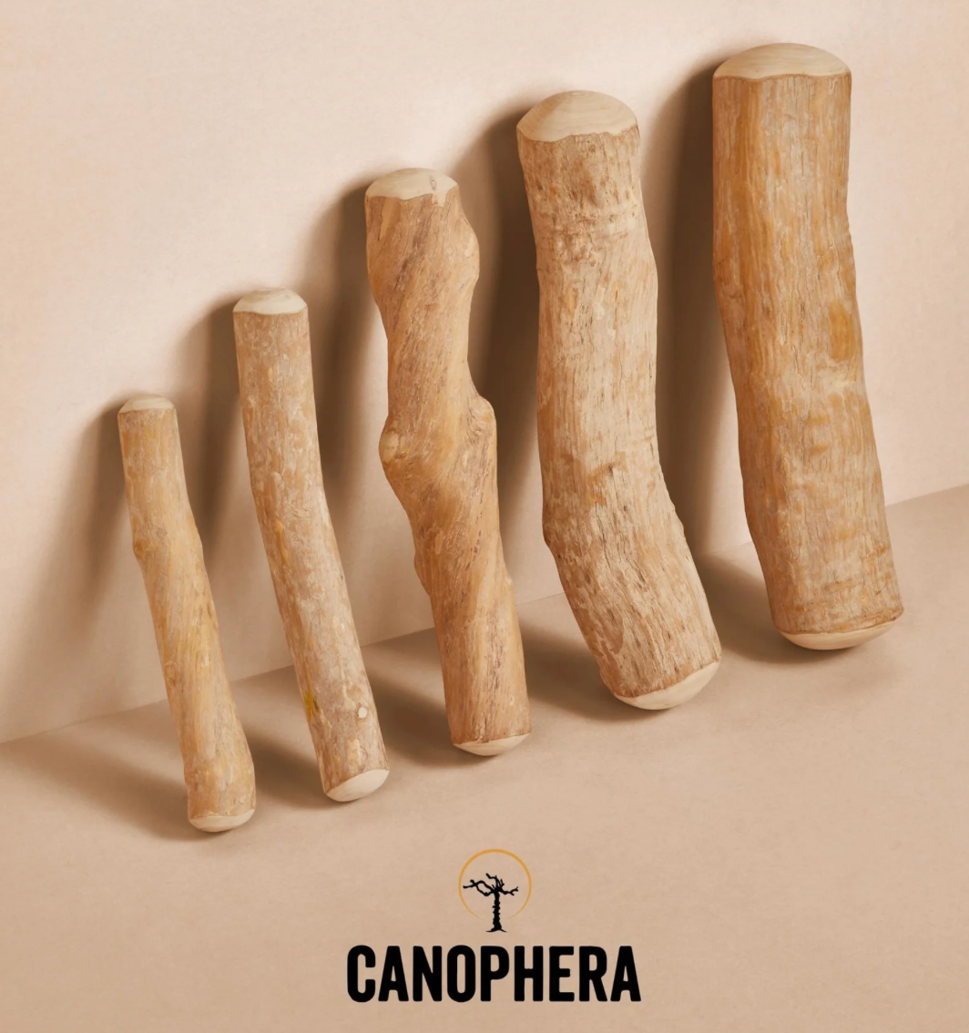Canophera Dog Chew Stick Coffee Tree Wood- Medium