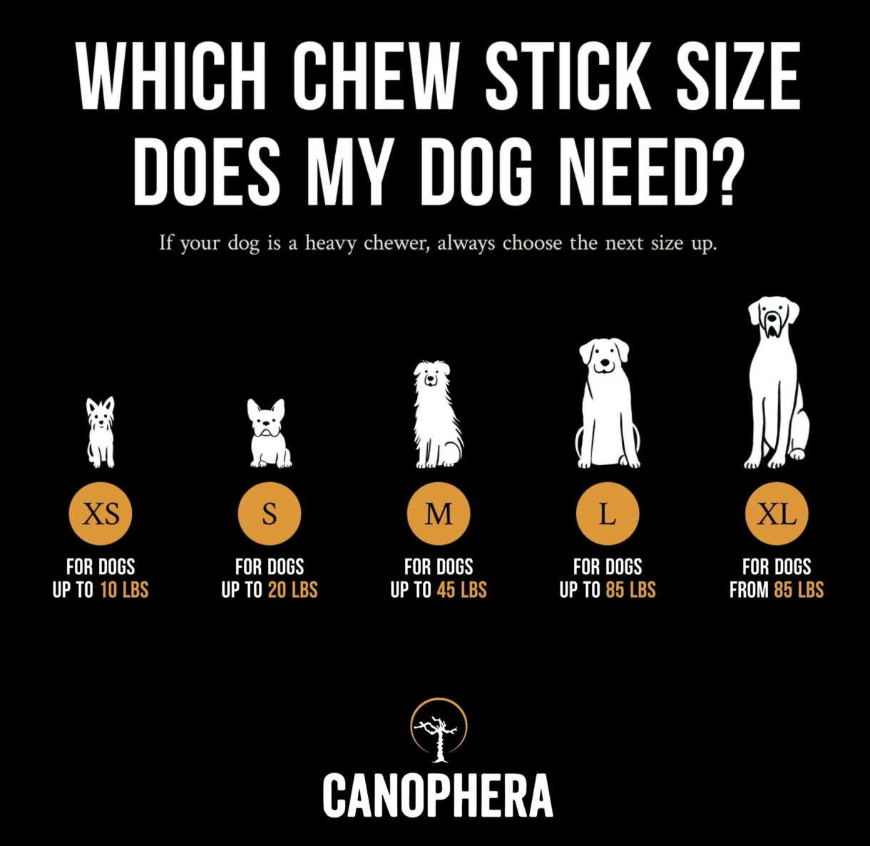 Canophera Dog Chew Stick Coffee Tree Wood- Large