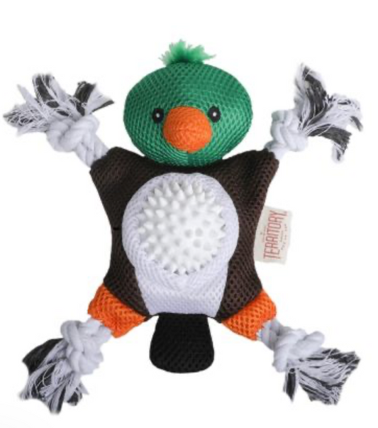 Territory Dog Toy 2 In 1 Mallard 9.5"