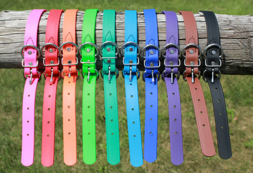Pro-Mohs BioThane Buckle Collar (1" x 18") Fits 16"-20"