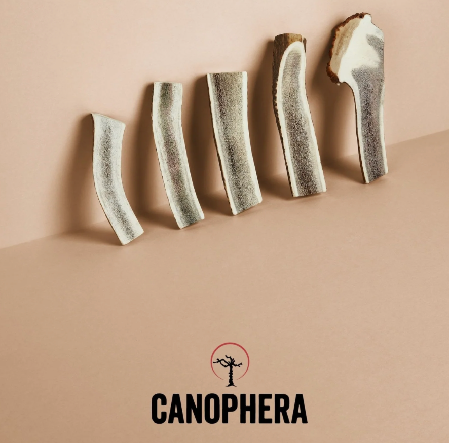 Canophera Dog Toy Chew Red Deer Antler Split Small