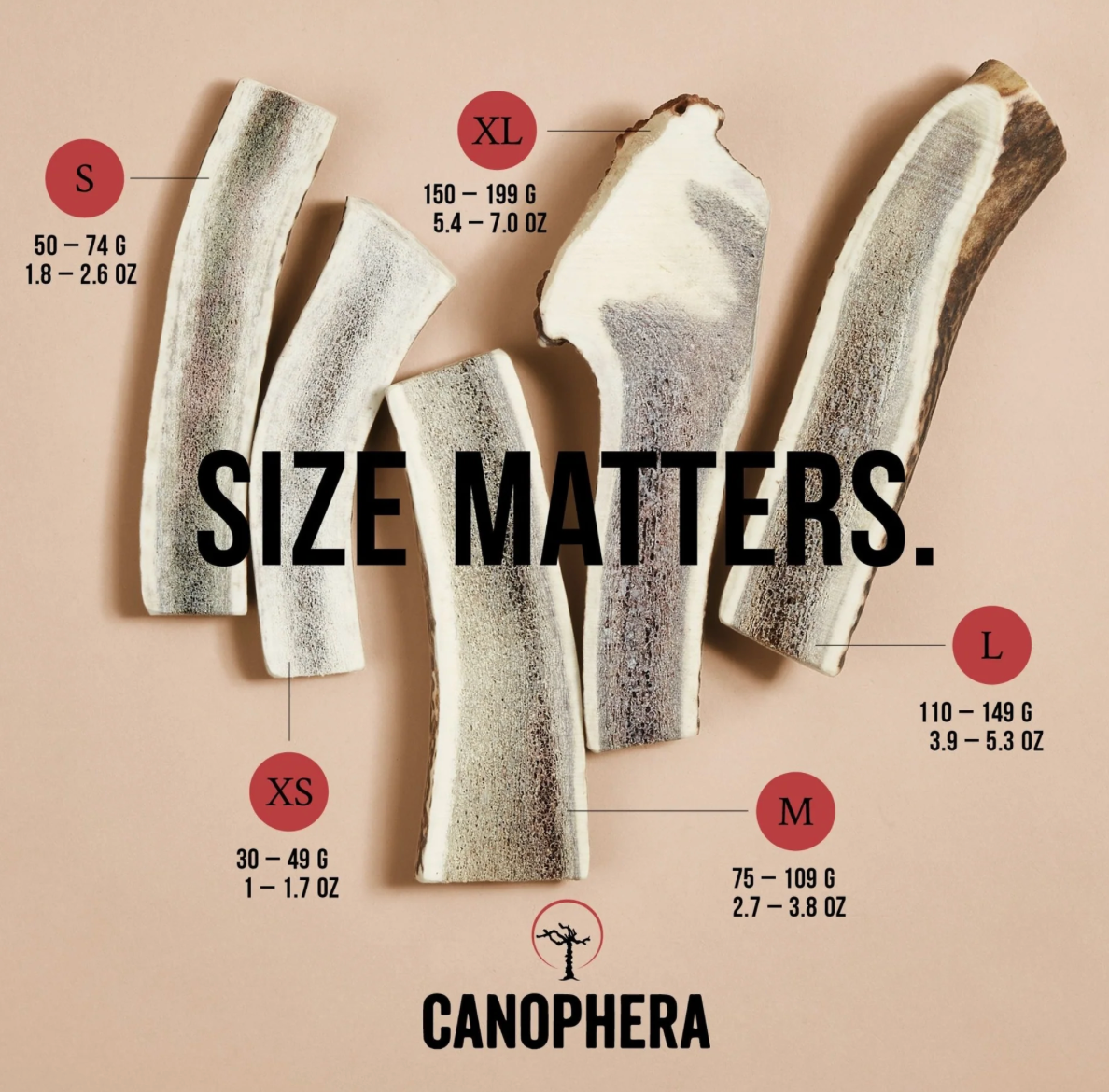 Canophera Dog Toy Chew Red Deer Antler Split Small