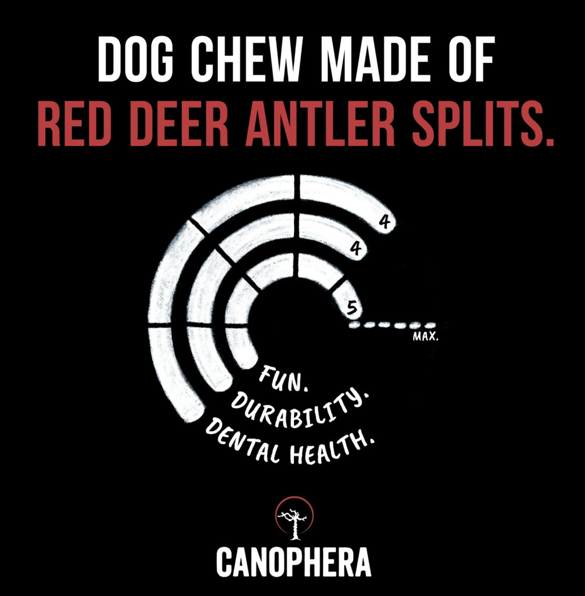 Canophera Dog Toy Chew Red Deer Antler Split Small