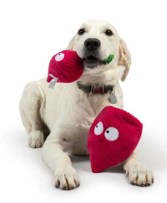 Huxley Kent Dog Toy Pop Fetch Beet Large