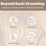 SK HONOR GROOMING SHAMPOO + / CONDITIONER 16 OZ DOG OF THE WOODS