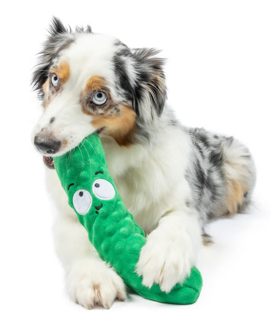HUXLEY KENT DOG TOY FETCHIES DELL PICKLE LARGE