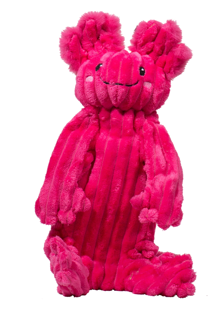 Hugglehounds Dog Toy Rope X-Brace Axolotl Small