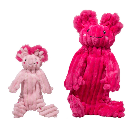 Hugglehounds Dog Toy Rope X-Brace Axolotl Large