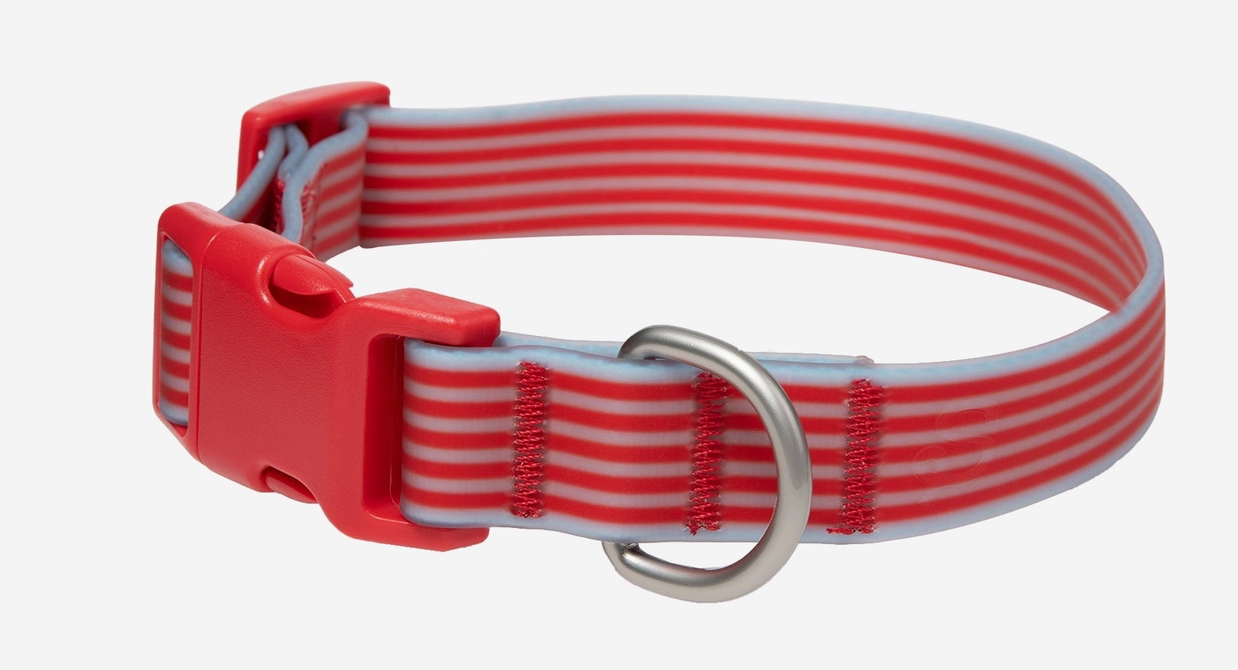 Springland Cherry / Sky Collar