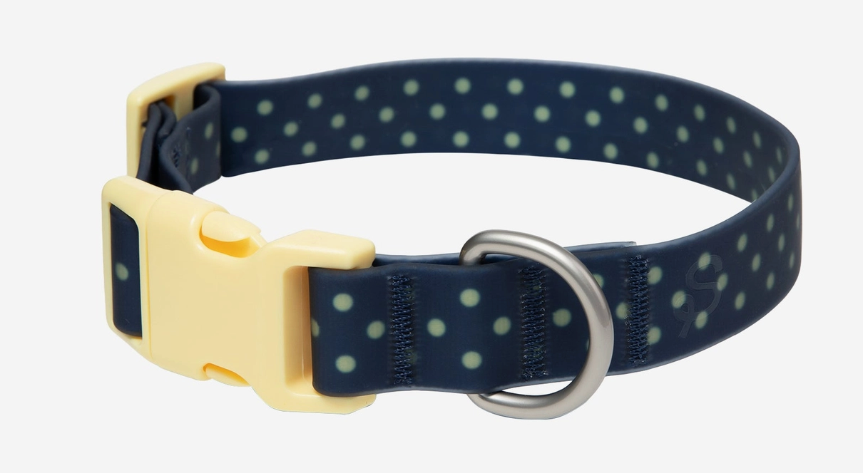 Springland Navy / Butter Collar