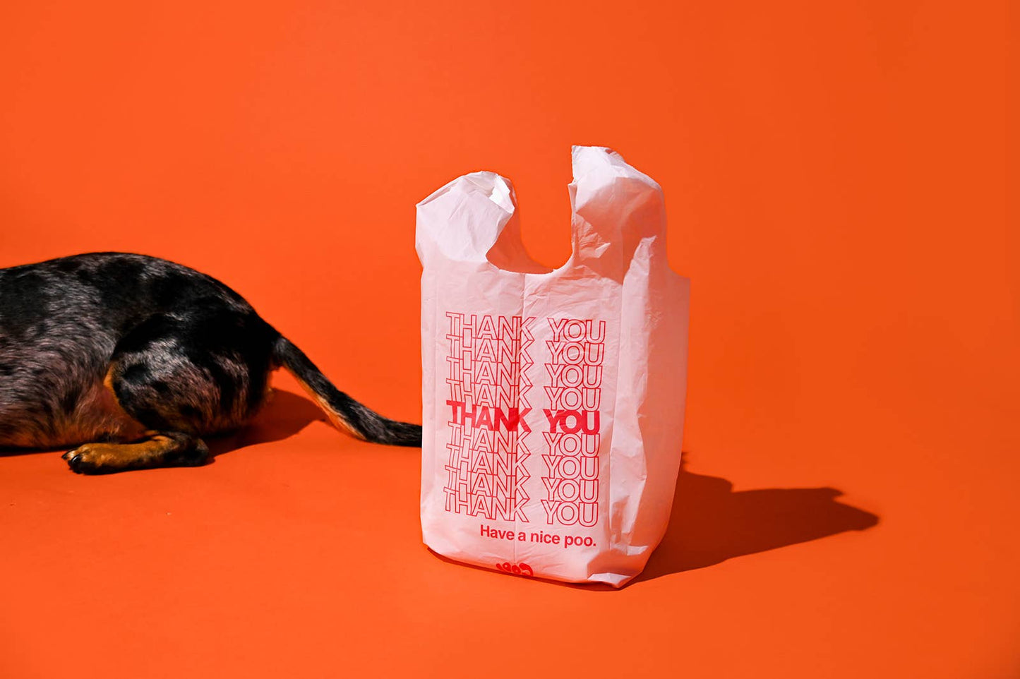 Cool Poop Bags The Thank You Bag
