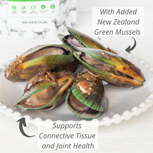 NZ Woof Green Mussel Treat 1.76oz