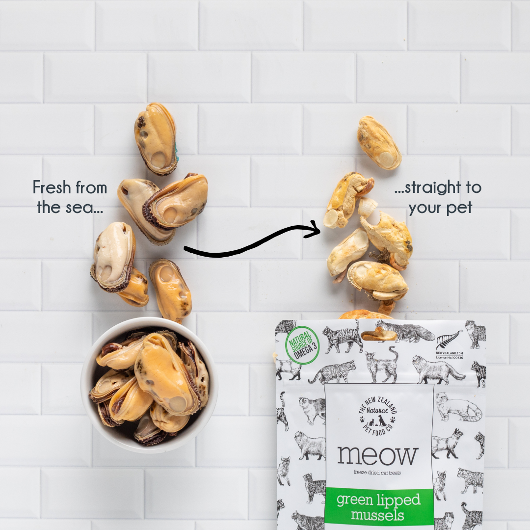 NZ Meow Green Mussel Treats 1.76oz