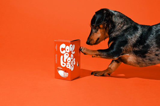 Cool Poop Bags The Thank You Bag