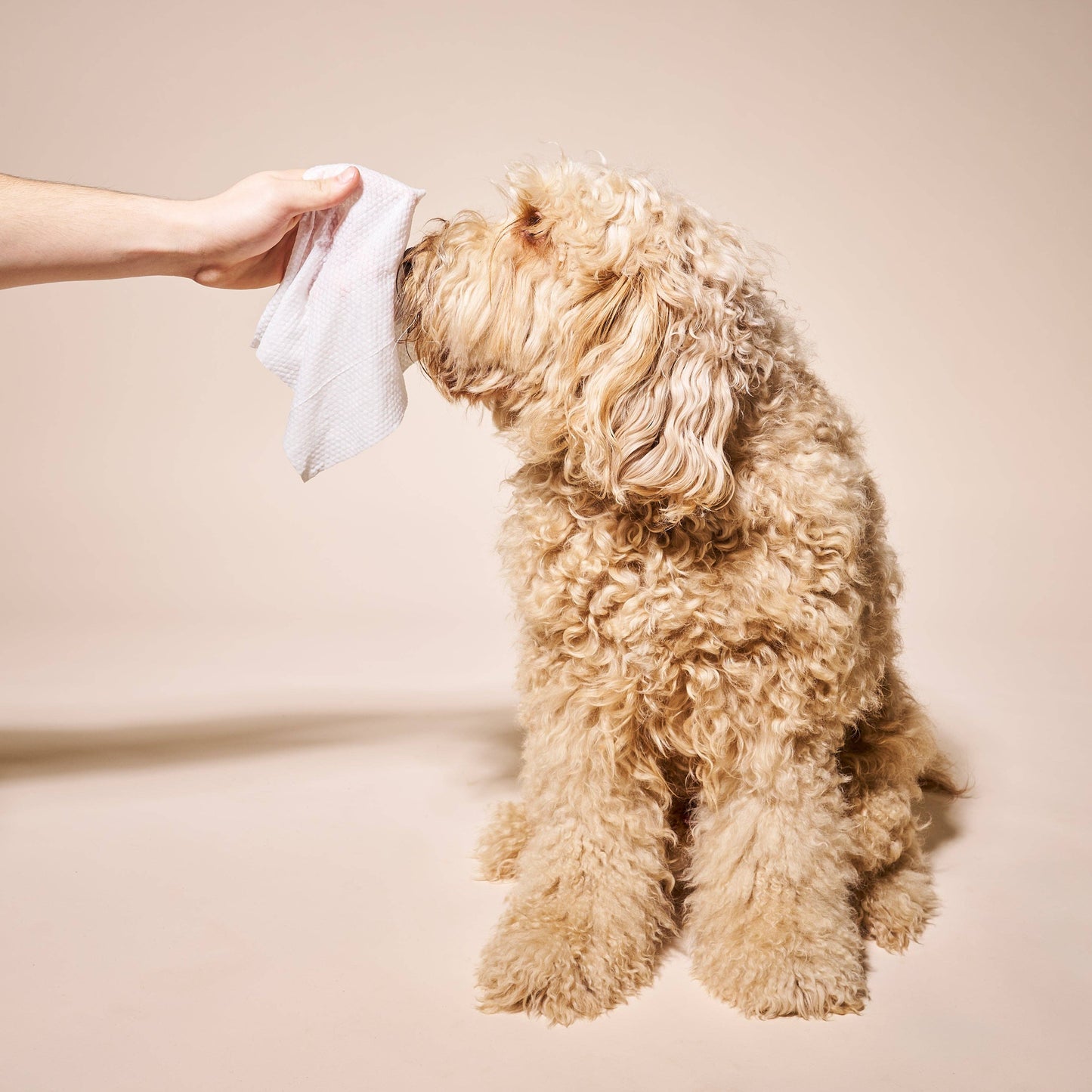 Goldie So Fresh, So Clean Probiotic Dog Wipes