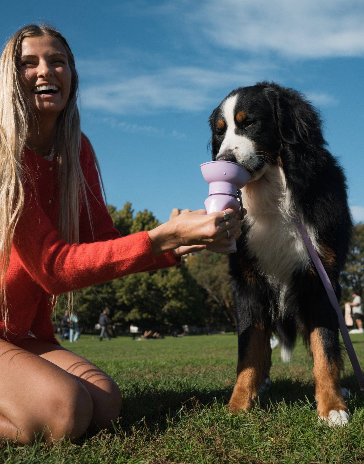 Dog Travel Water Bottle, 20oz, Flip Silicone (Mixed 12 Pack)