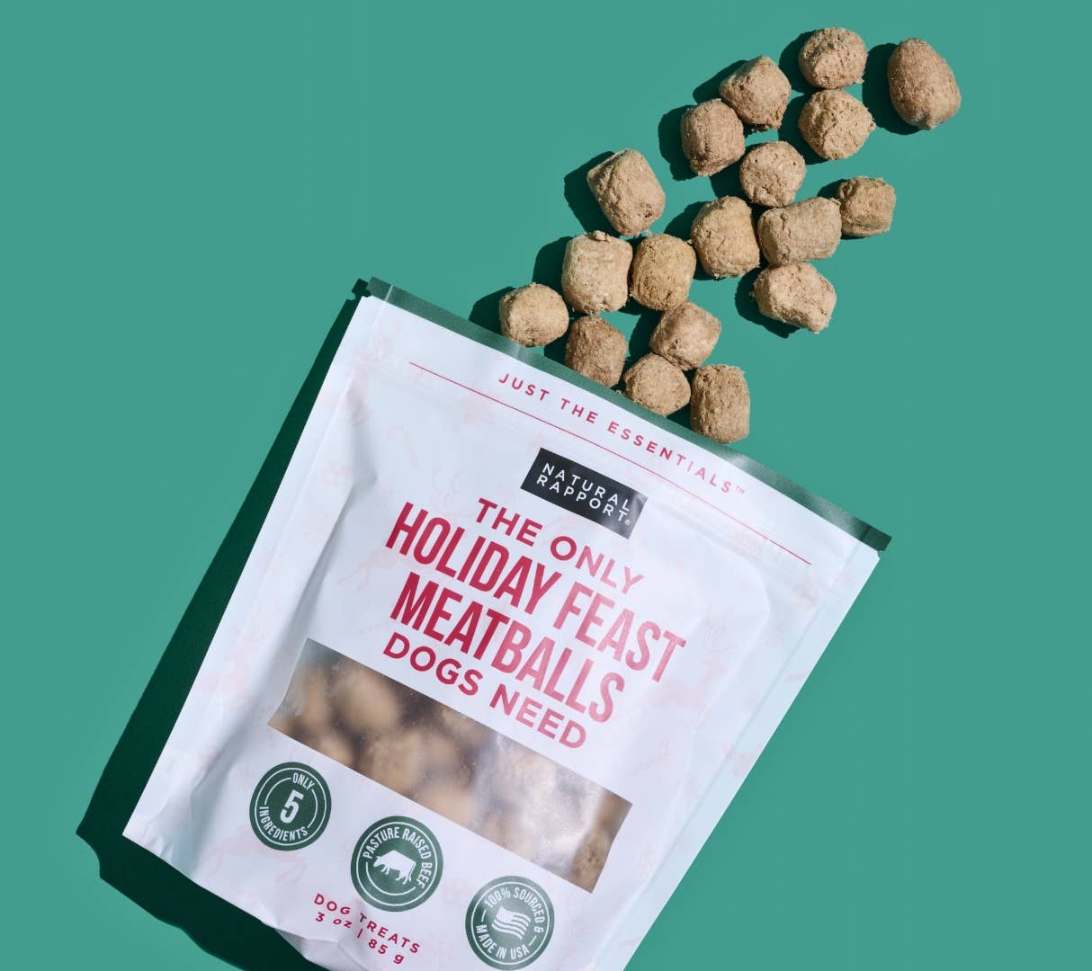 The Only Holiday Feast Meatballs Dogs Need