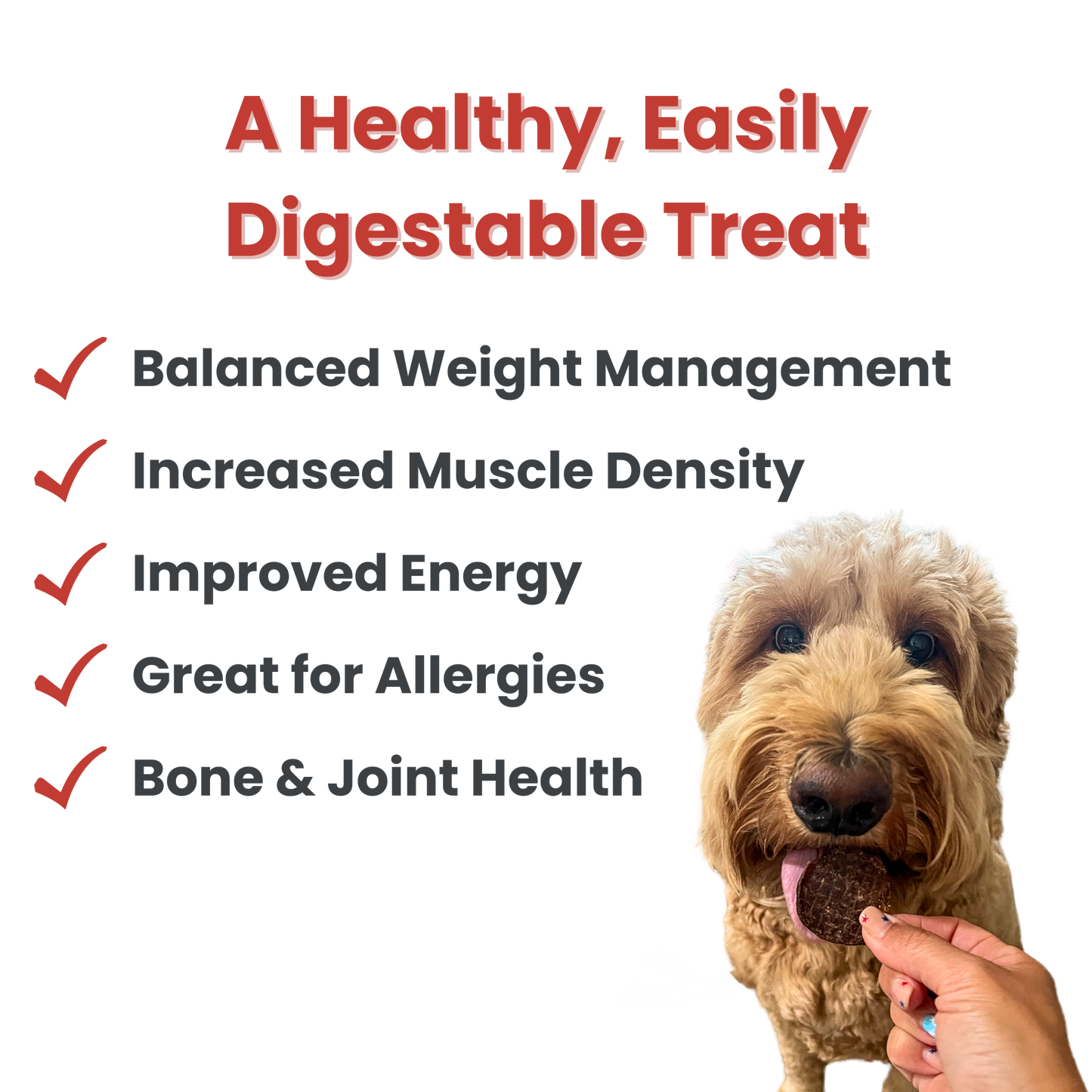 Farm To Pet Beef Chips Human-Grade Dog Treats – 2 sizes