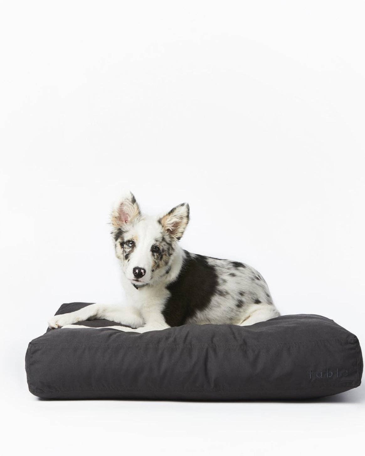 Fable Durable Water-Resistant Memory Foam Dog Bed