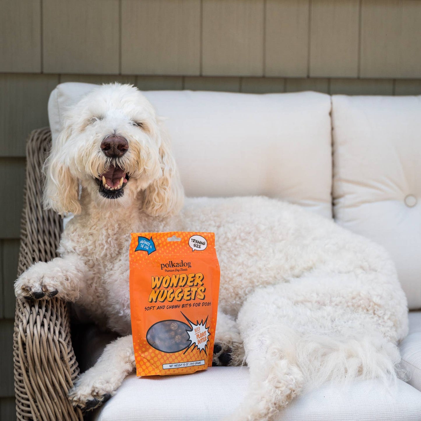Polkadog Wonder Nuggets, Peanut Butter - 10oz - Dog Treats