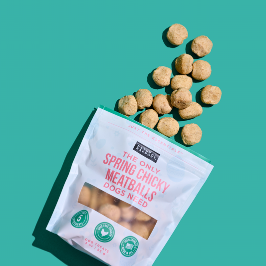 Spring & Easter - The Only Spring Chicky Meatballs Dogs Need