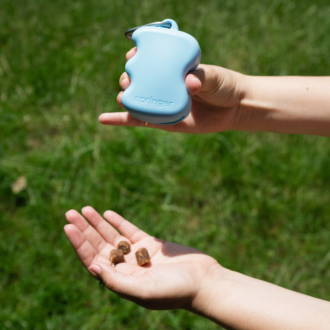 Silicone Dog Treat Pouch Dispenser