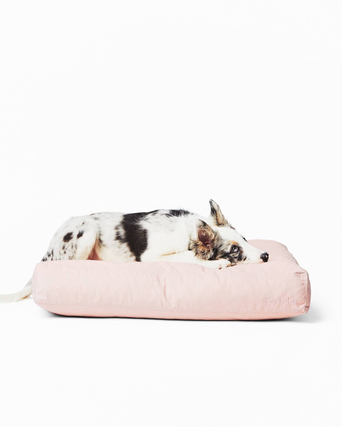 Fable Durable Water-Resistant Memory Foam Dog Bed