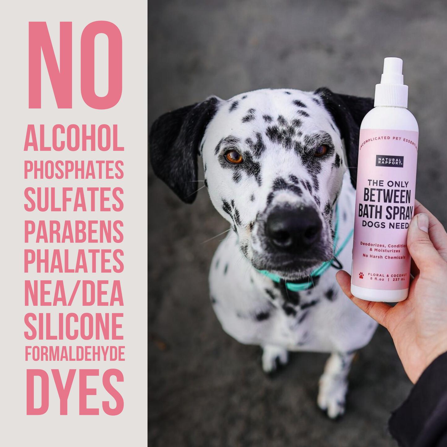 Natural Rapport The Only Between Bath Spray Dogs Need - Floral & Coconut