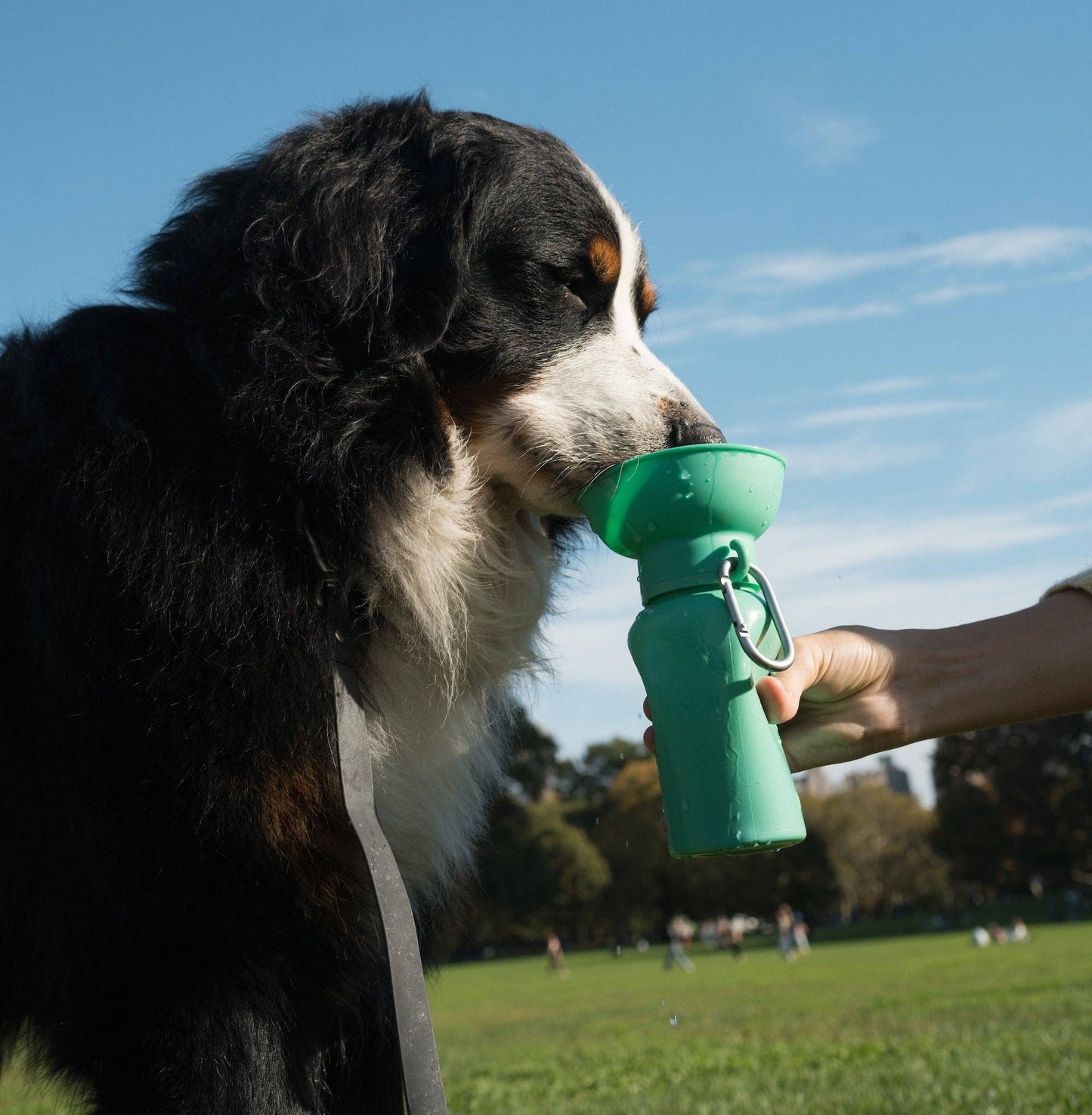 Dog Travel Water Bottle, 20oz, Flip Silicone (Mixed 12 Pack)
