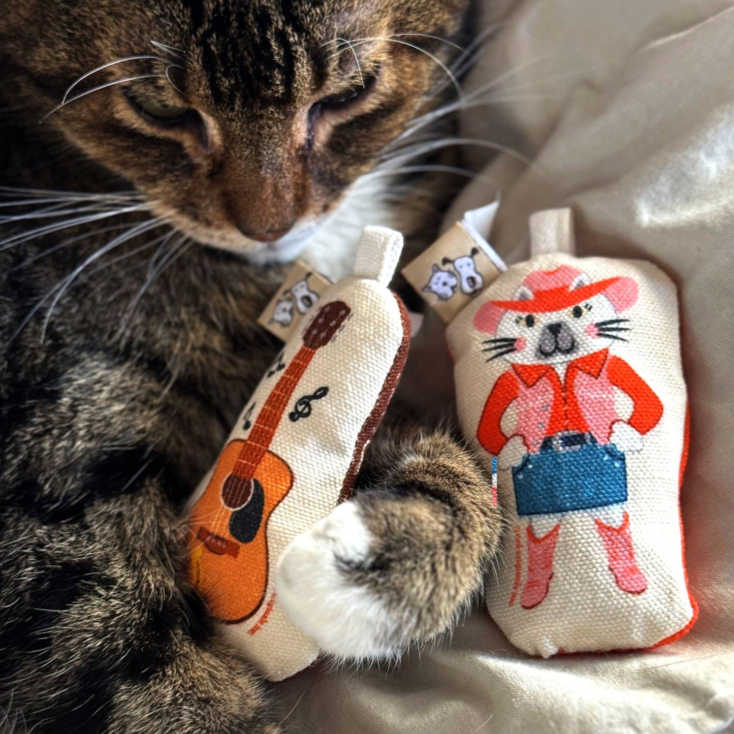 Go Kitty Go Cat Toy Set | Country Music Kitty